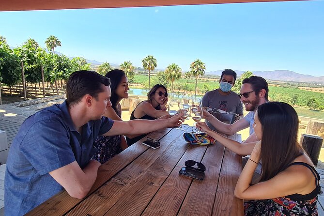 Guadalupe Wine Valley Tour - Why this private Tijuana day trip works