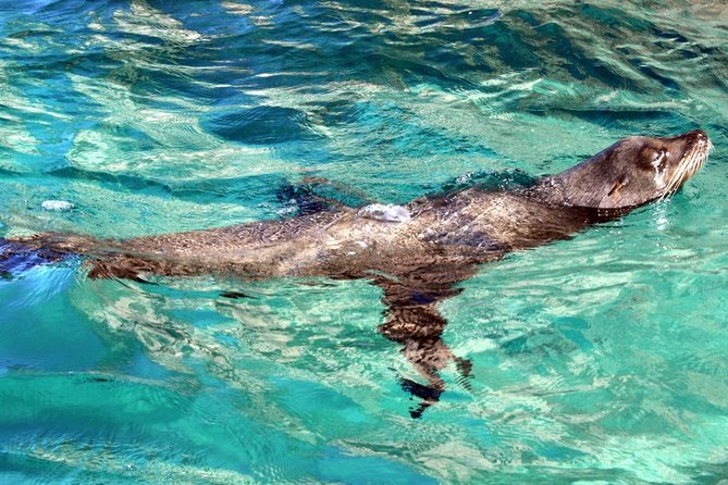 Guided Tour Los Cabos: Boat | Tacos & Tequila | Photos & Transfer - Morning or afternoon: choosing the better departure