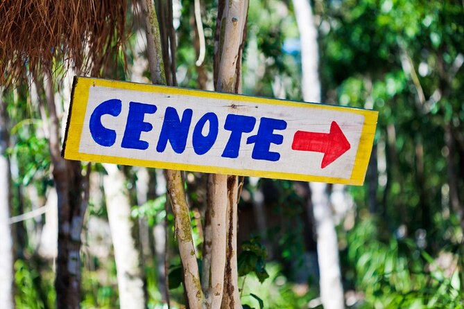 Guided Tour to Chichen Itza Cenote and Valladolid - Chichen Itza and the pyramid of Kukulkan