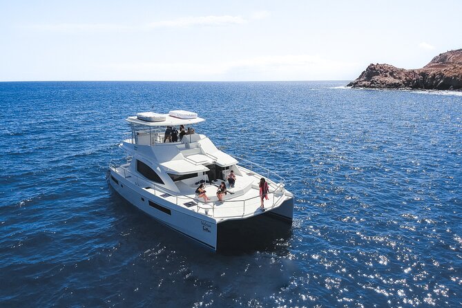 Half Day Cabo Snorkel Adventure with Lunch and Open Bar - What You Are Really Buying for $149