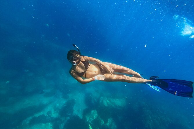 Half Day Cabo Snorkel Adventure with Lunch and Open Bar - Getting from San Jose del Cabo to the Marina