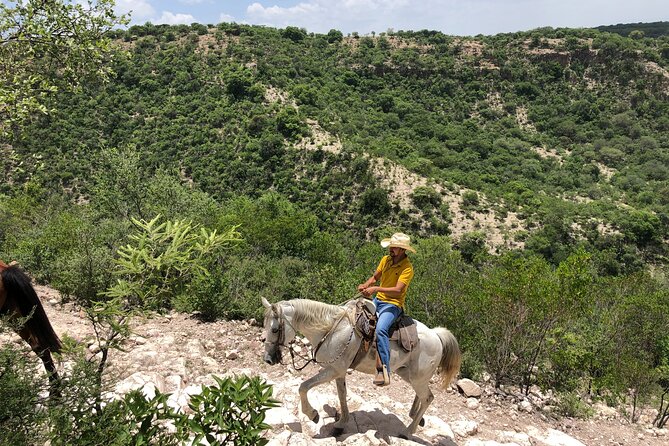 Half Day Excursion - Horseback Riding Adventure in SMA - A ranch meal that completes the experience