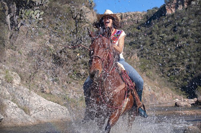 Half-Day Horseback Riding Adventure - Why Coyote Canyon feels different from a standard trail ride