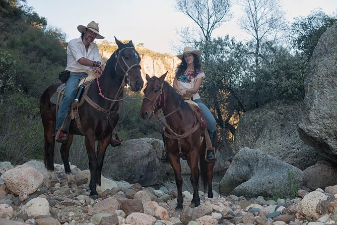 Half-Day Horseback Riding Adventure - Open plains, cattle, and the long ride back down