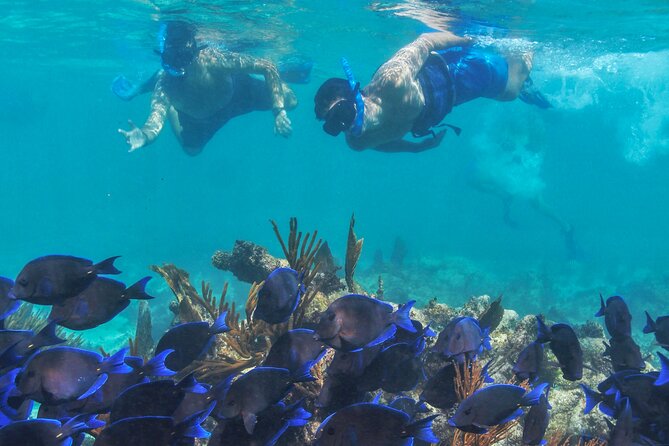 Half-Day Luxury Sailing Experience in Tulum with Open Bar - Lunch, Drinks, and the Onboard Mood