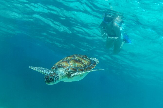 Half-Day Luxury Sailing Experience in Tulum with Open Bar - Weather Changes and Last-Minute Alternatives