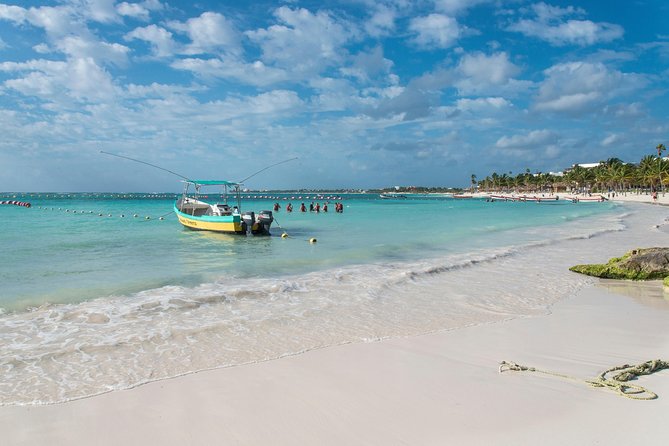 Half-Day Sea Turtle and Cenote Snorkeling Tour from Cancun & Riviera Maya - Two famous Yucatan waters in five hours