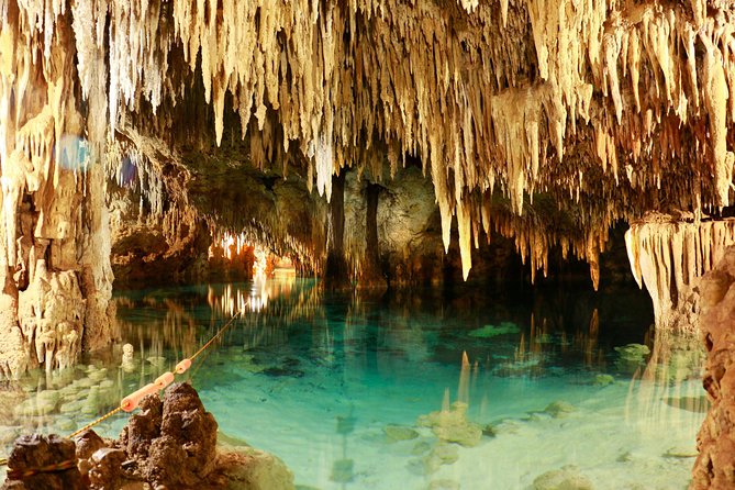 Half-Day Sea Turtle and Cenote Snorkeling Tour from Cancun & Riviera Maya - Food, equipment, photographs, and the extra-cost question