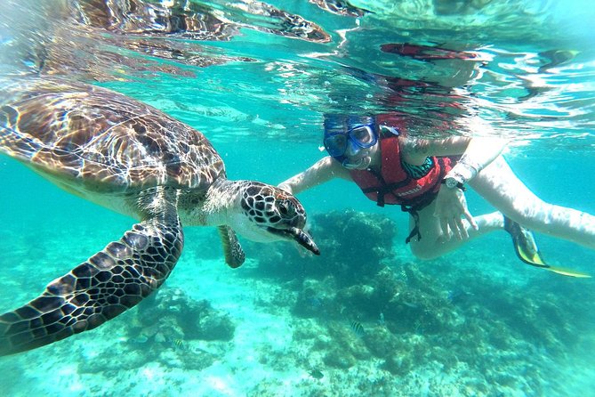 Half-Day Sea Turtle and Cenote Snorkeling Tour from Cancun & Riviera Maya - Who will enjoy this tour most