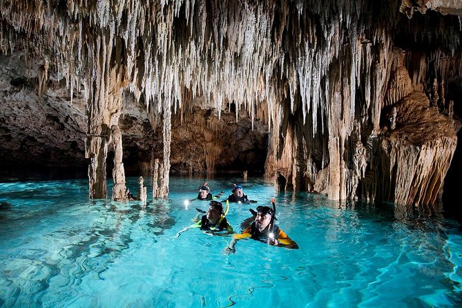 Half-Day Sea Turtle and Cenote Snorkeling Tour from Cancun & Riviera Maya - Safety, conservation, and the human side of the outing
