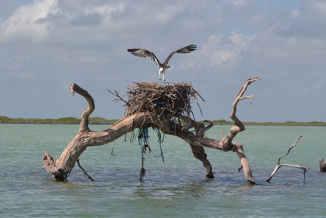 Half-Day Tour Discovering Sian Ka´an with Lunch - Why Sian Ka’an is worth the early start