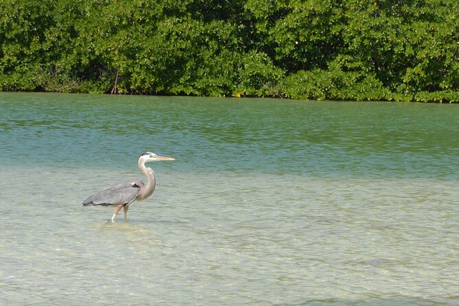 Half-Day Tour Discovering Sian Ka´an with Lunch - Reef snorkeling depends on the sea