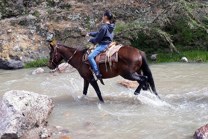 Half Day Trail Riding in San Miguel de Allende - What to wear and pack
