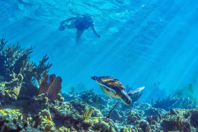 Hidden Cenote Swim: Snorkeling, Sea Turtles and Beachside Lunch - Who will enjoy this outing most