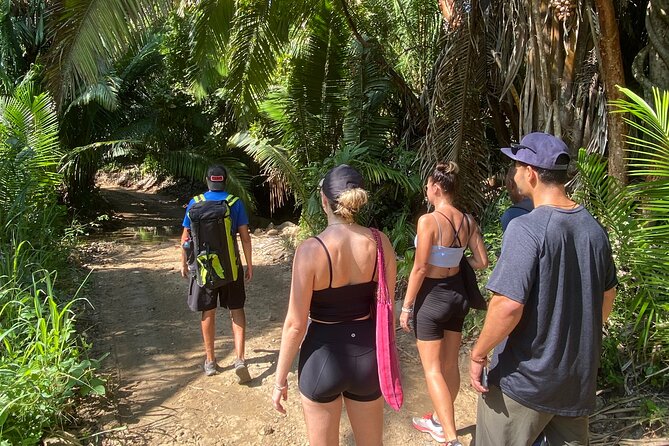 Hike and Yoga Jungle Experience in Mexico - Coastal views and a quieter stretch of sand