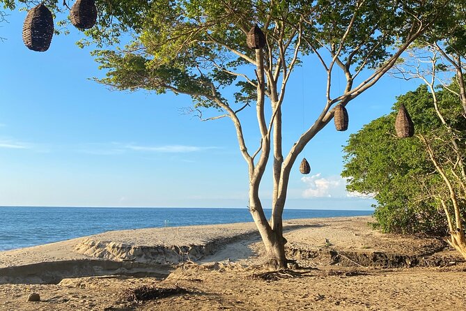 Hike and Yoga Jungle Experience in Mexico - The walk back and the total time