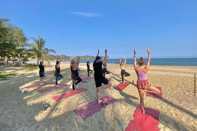 Hike and Yoga Jungle Experience in Mexico - The first 45 minutes: a real jungle walk