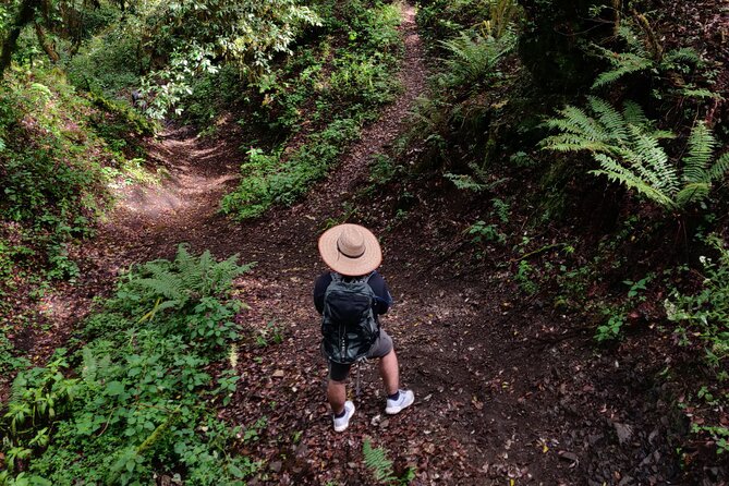 Hiking in the Sierra Norte of Oaxaca - Key points to know before booking