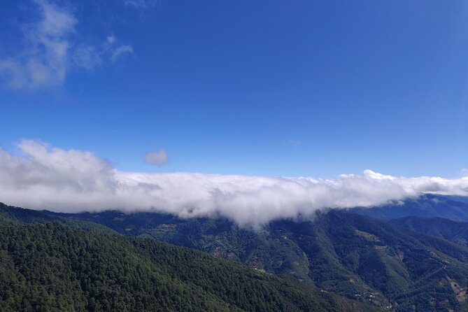 Hiking in the Sierra Norte of Oaxaca - Pine, oak, fungi, and changing microclimates