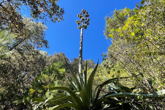 Hiking in the Sierra Norte of Oaxaca - Views that reward the climbs