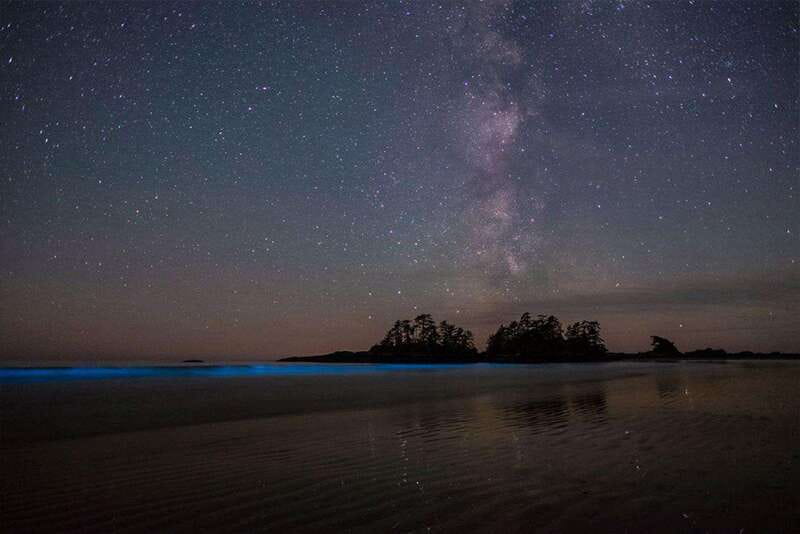 Holbox: Guided Bioluminescence Kayaking Tour - The first 20 minutes: leaving Holbox’s lights behind