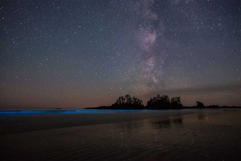 Holbox: Guided Bioluminescence Kayaking Tour - Who should book this Holbox kayaking tour?