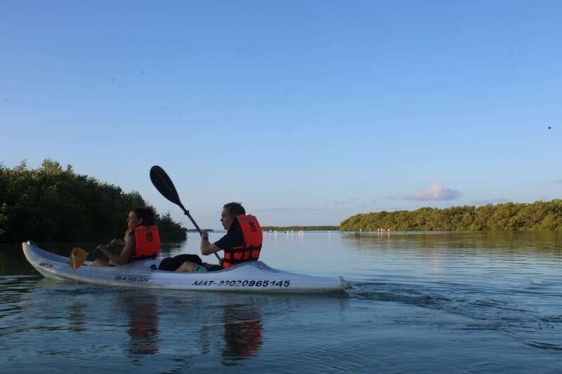 Holbox: Guided Sunrise/Sunset Kayak Tour by Mangrove Reserve - Key points to know before you book