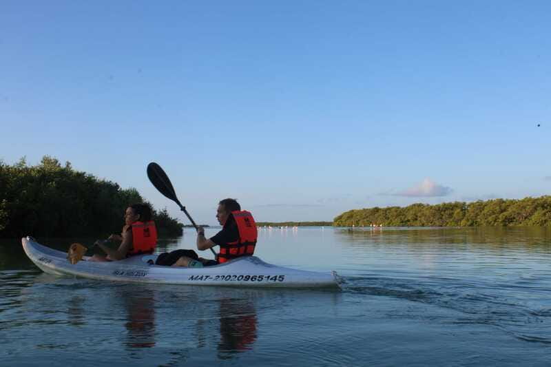 Holbox: Guided Sunrise/Sunset Kayak Tour by Mangrove Reserve - What the guides add to the morning