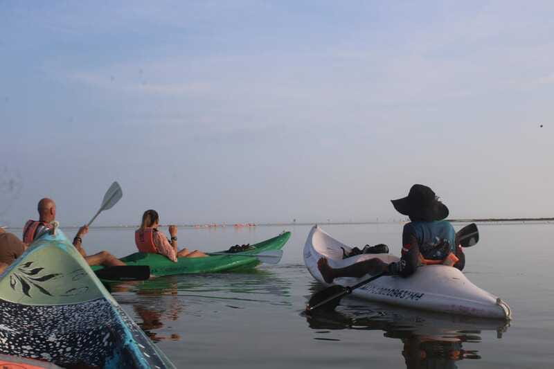 Holbox: Guided Sunrise/Sunset Kayak Tour by Mangrove Reserve - Kayaking equipment and how wet you will get