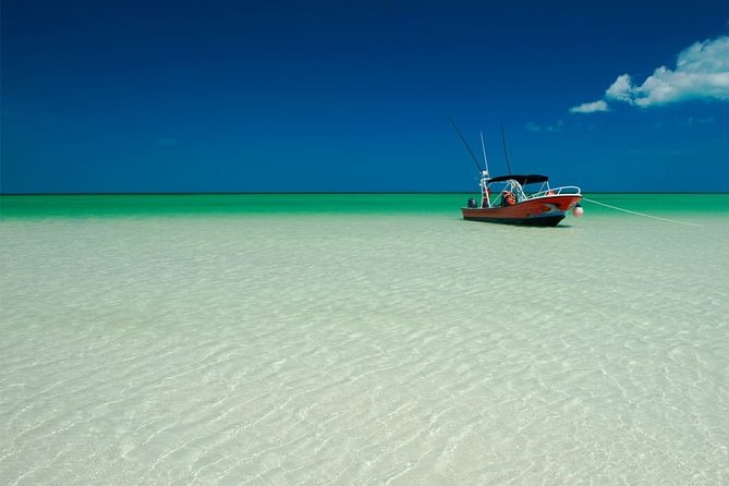 Holbox Island Full Day Trip with Lunch From Playa del Carmen - Lunch with an ocean view