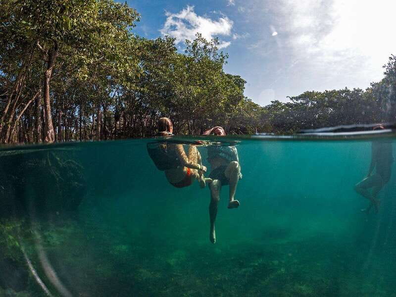 Holbox: Yum Balam Reserve Classic Boat Tour - Passion Island: birds, beaches, and a busy stop