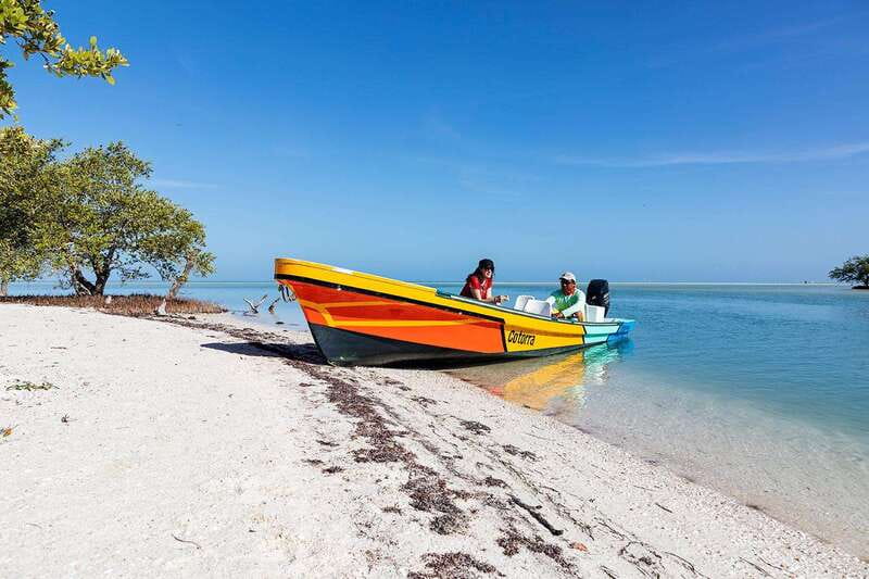 Holbox: Yum Balam Reserve Classic Boat Tour - Punta Mosquito depends on the sea