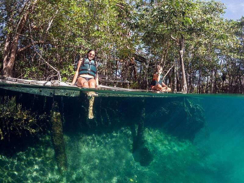 Holbox: Yum Balam Reserve Classic Boat Tour - What the $36 price really buys you