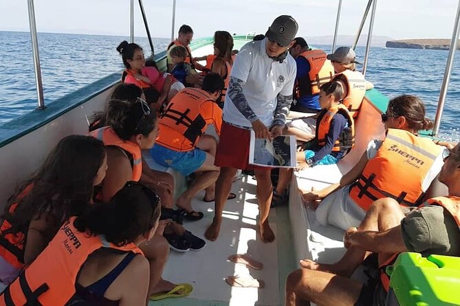 holy spirit island tour - Snorkeling beside the sea lions
