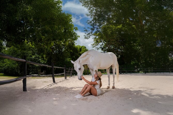 Horseback Riding and Cenote Swim from Cancun or Playa del Carmen - Meeting the rescued horses at Rancho Bonanza
