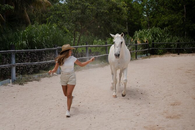 Horseback Riding and Cenote Swim from Cancun or Playa del Carmen - Riding through the Yucatan jungle