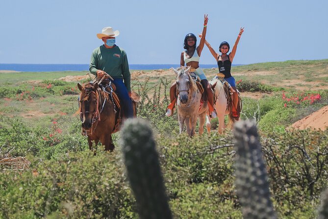 Horseback Riding Beach and Desert in Cabo - Key points to know before booking