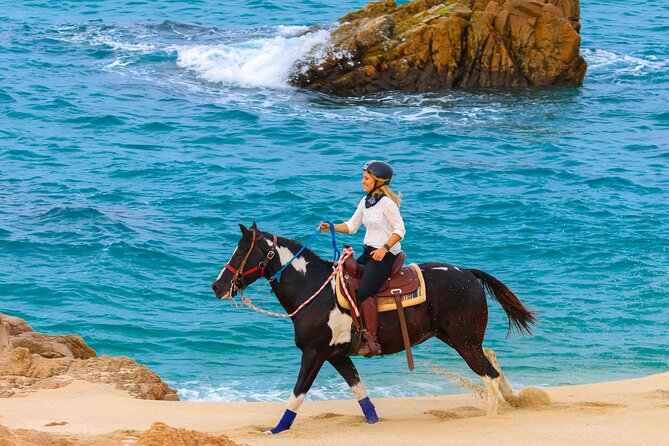 Horseback Riding Beach and Desert in Cabo - How the $85 price measures up