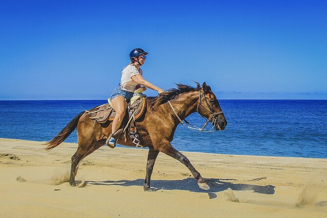 Horseback Riding Beach and Desert in Cabo - Riding through the desert mountains