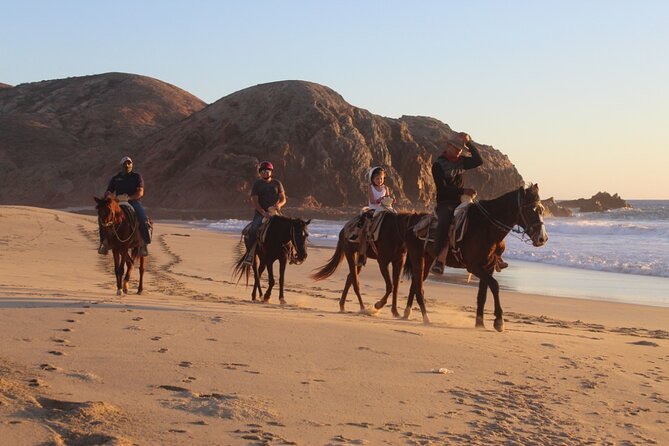 Horseback Riding Experience in Rancho San Cristobal - Riding across beach, desert, and mountain terrain
