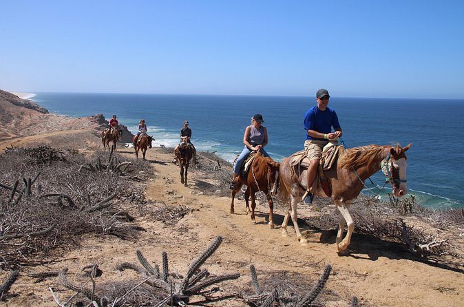 Horseback Riding Experience in Rancho San Cristobal - Quesadillas at Quelele restaurant