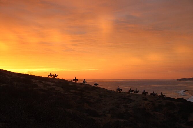 Horseback Riding Experience in Rancho San Cristobal - Meeting the horses and getting started