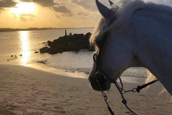 Horseback Riding in Sayulita Through Jungle Trails to the Beach - Trail three: Playa Escondida and the black-sand shore