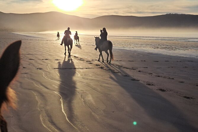 Horseback Riding on the Beach from Ensenada - Horses, pace, and comfort for beginners