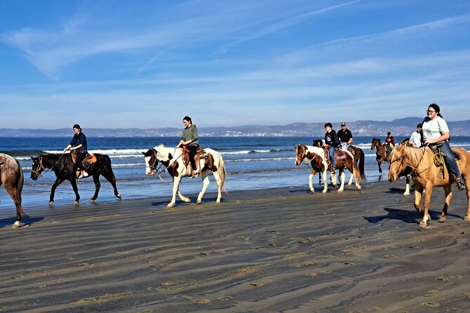 Horseback Riding on the Beach from Ensenada - How much value do you get for $95?
