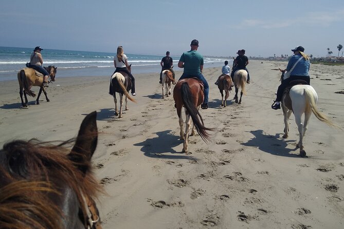 Horseback Riding on the Beach from Ensenada - Who will enjoy this most?