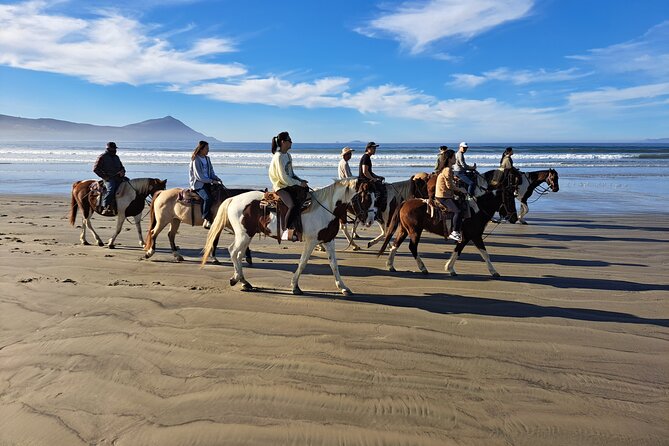 Horseback Riding on the Beach from Ensenada - Booking, timing, and cancellation tips