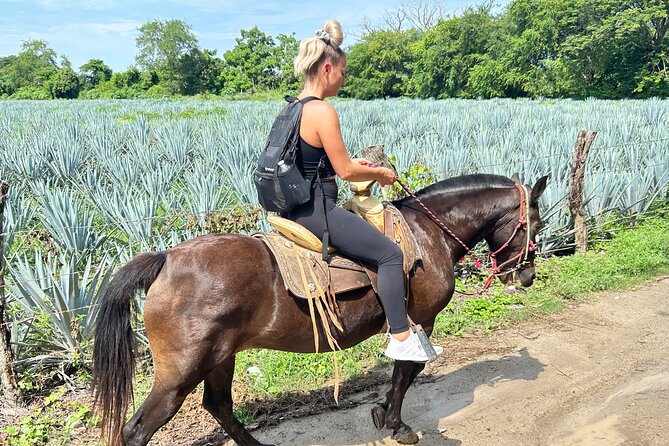 Horseback Riding & Swim: Tequila Tasting, BBQ & Margaritas - Mexican BBQ, salsa, and unlimited margaritas