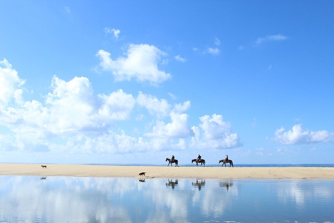 Horseback Riding Tour in Cabo San Lucas - Meeting the Horses and Choosing Your Mount