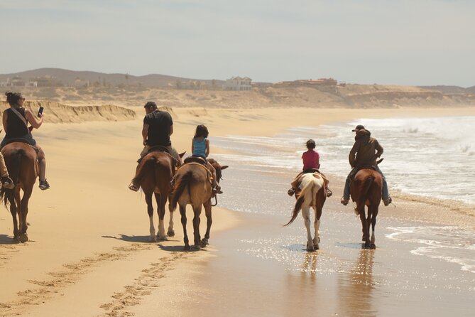 Horseback Riding Tour in Cabo San Lucas - Photo Stops, Turtle Work, and the Extra Cost